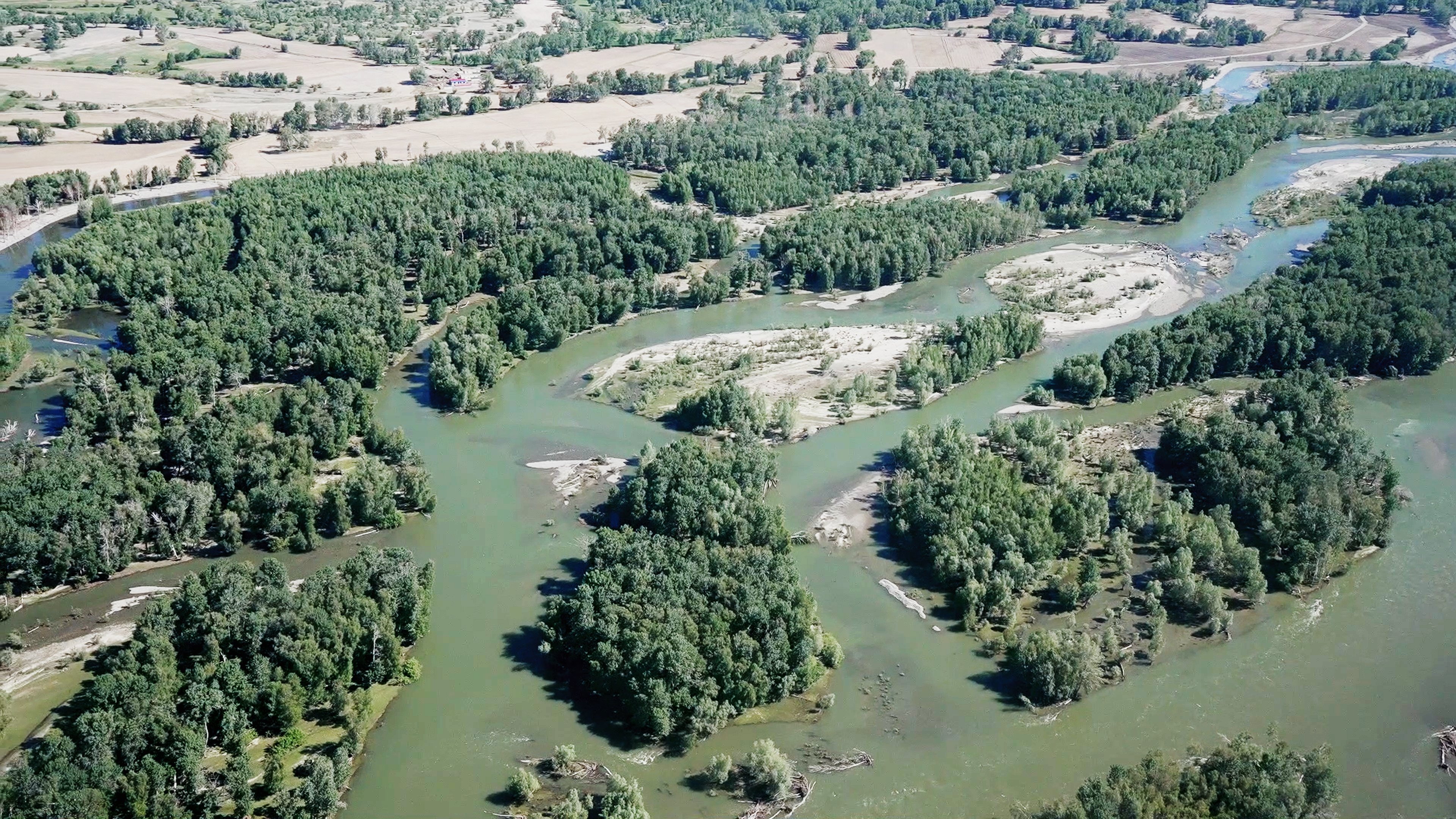 mmexport1749651867068